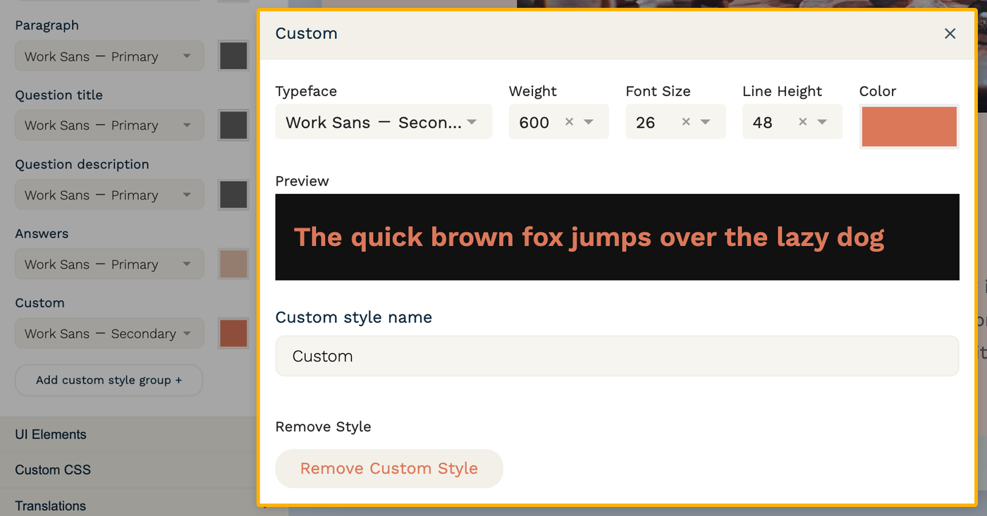Screenshot of the settings for a custom style