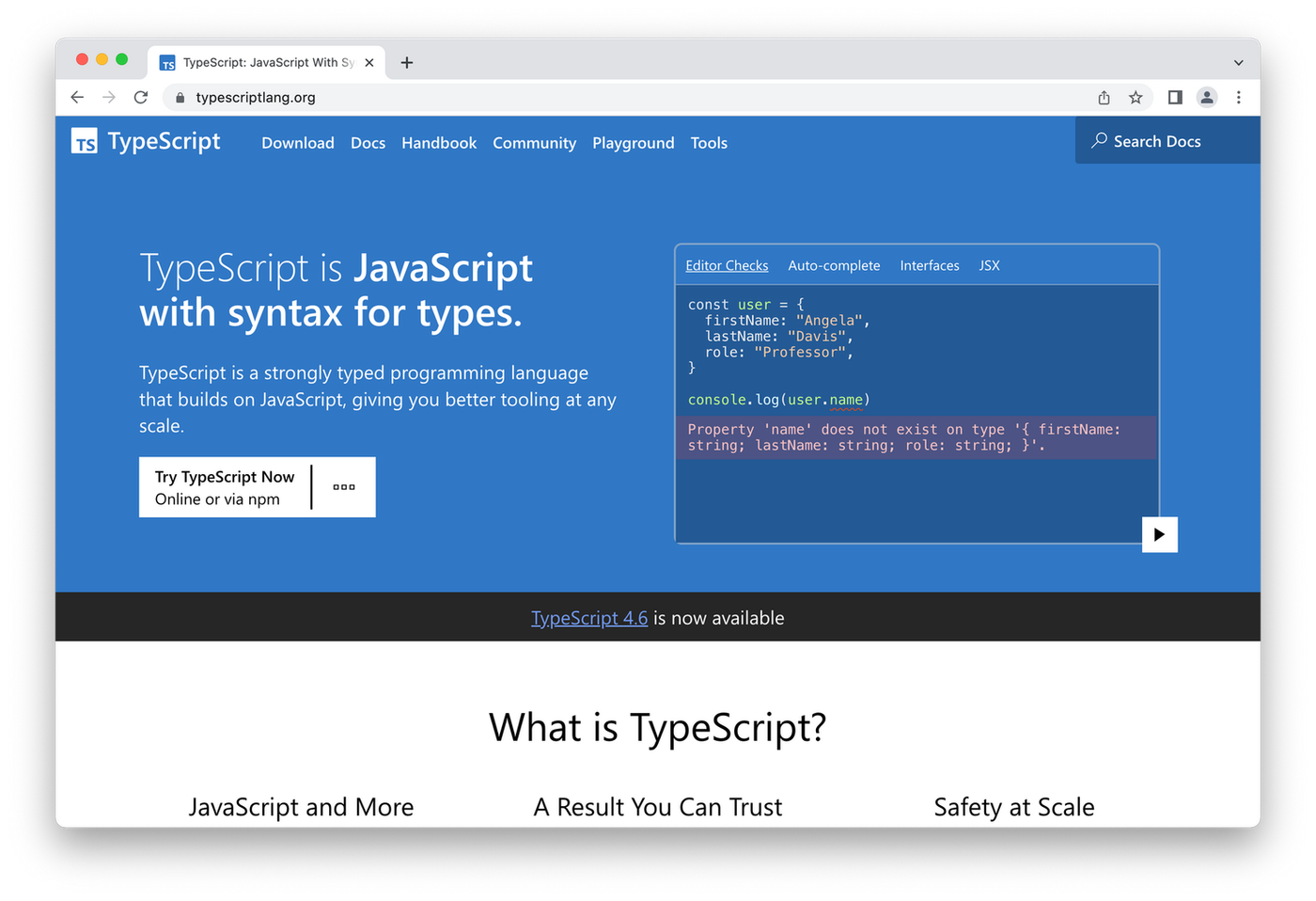 TypeScript homepage, blue coding box on white and blue background