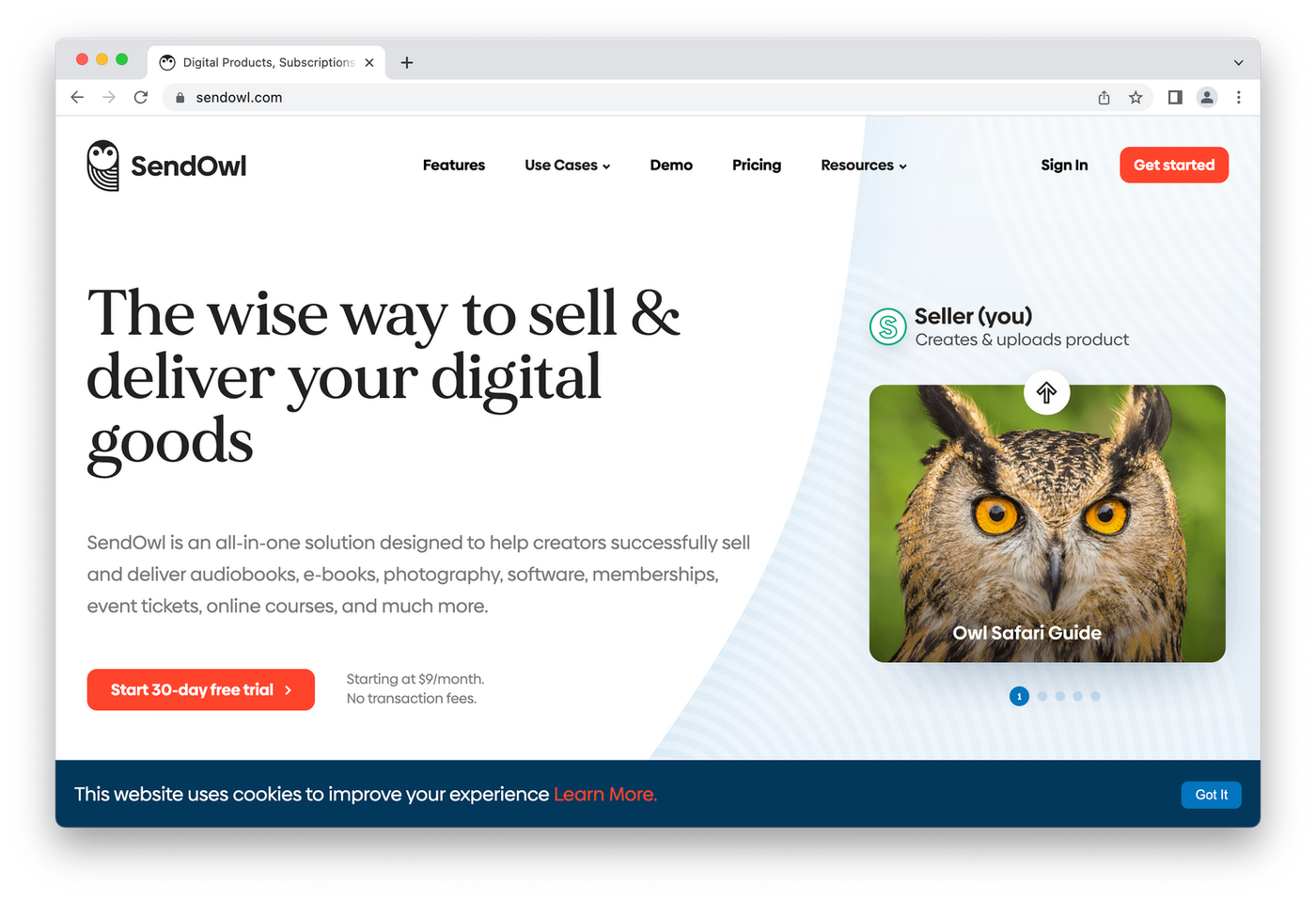 screenshot of sendowl homepage, with picture of owl