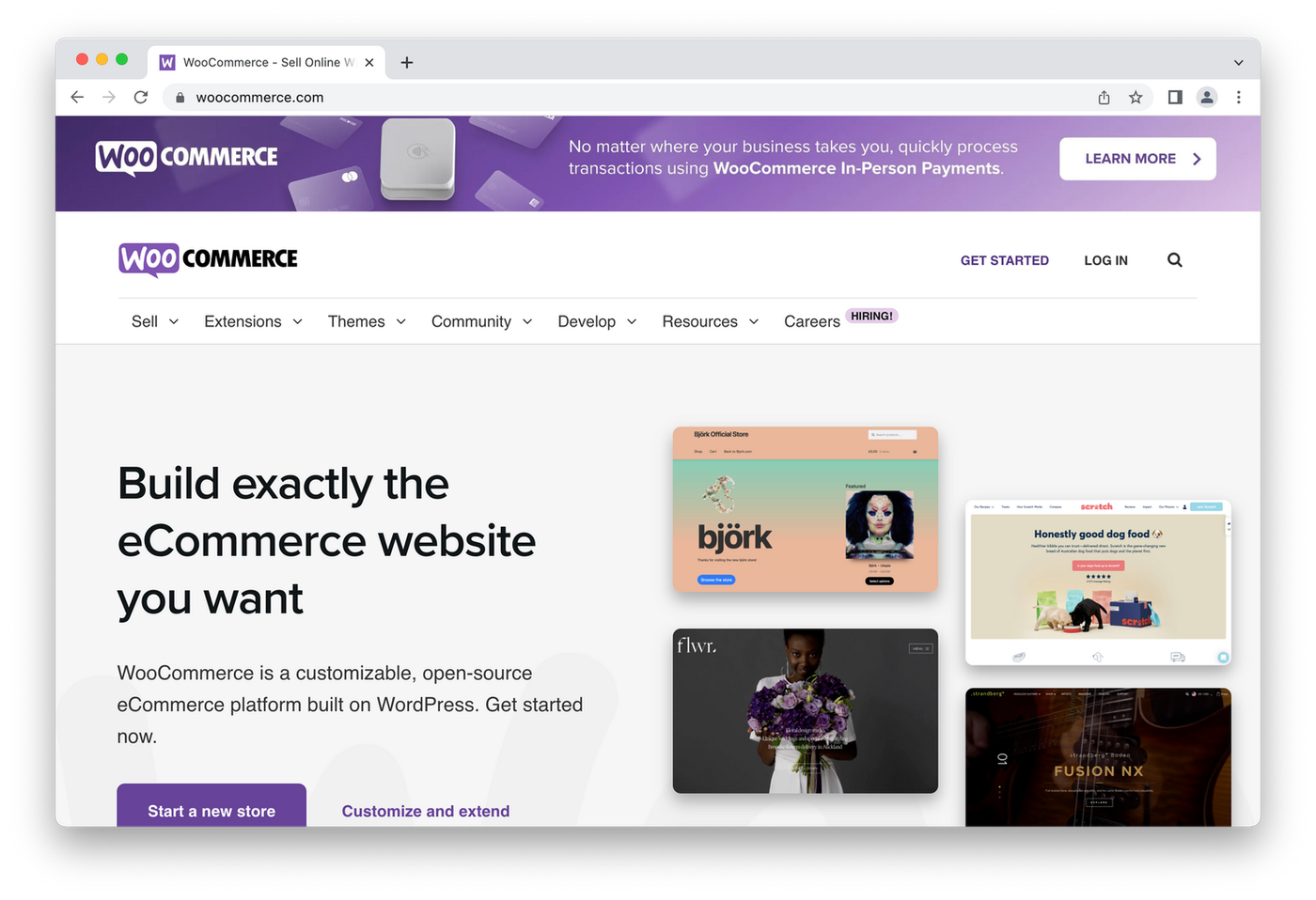 screenshot of woocommerce website