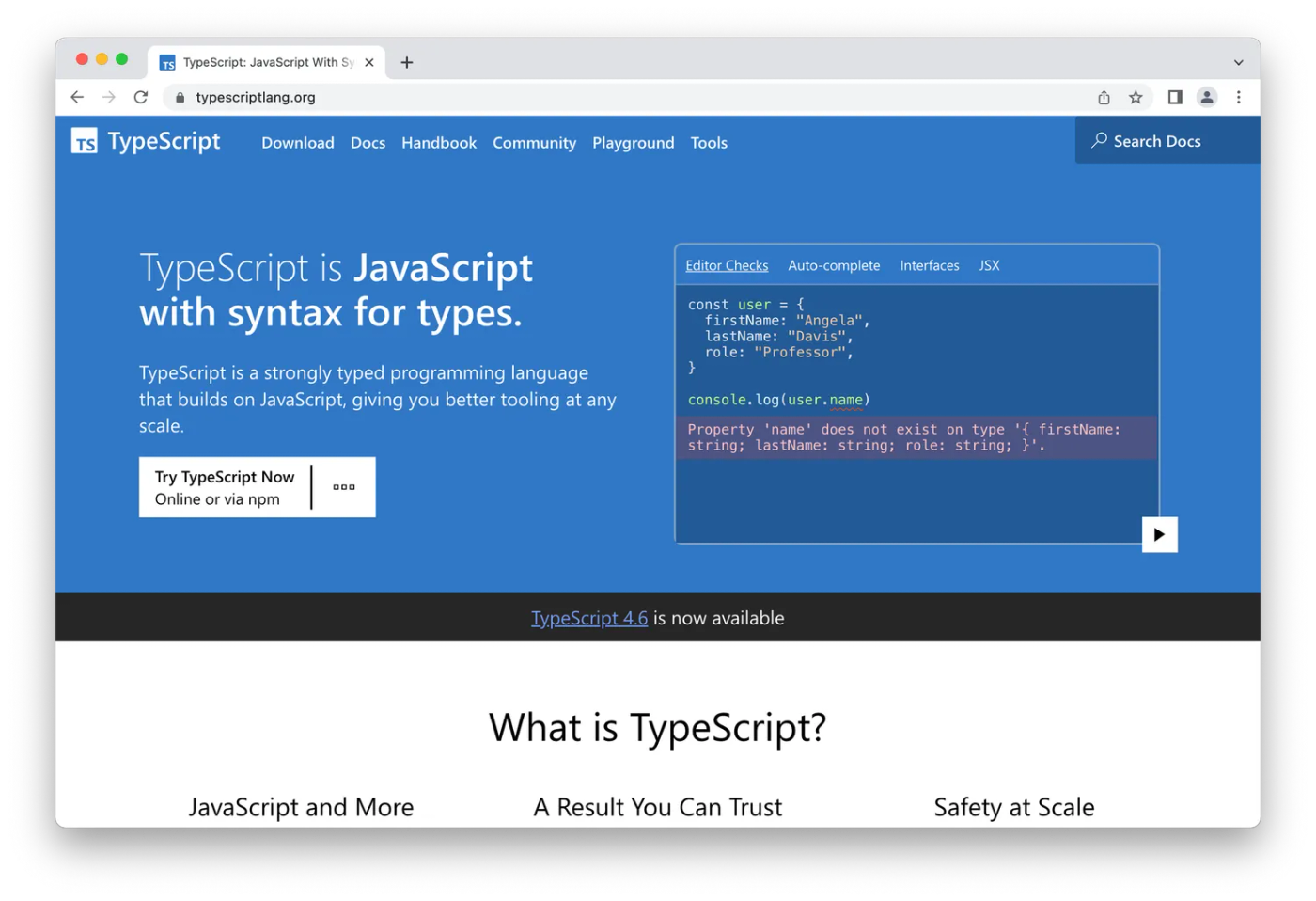 TypeScript homepage, blue coding box on white and blue background