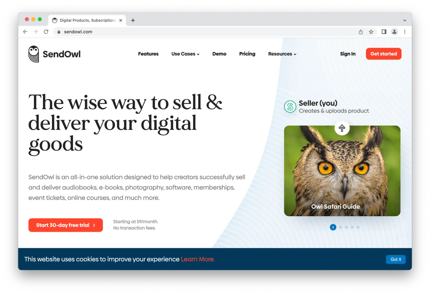 screenshot of sendowl homepage, with picture of owl