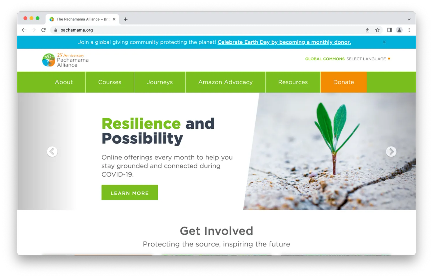 Pachama homepage, a sprout growing