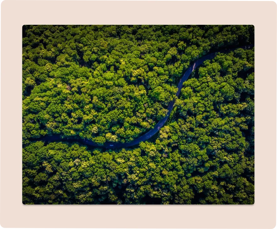 River running through forest