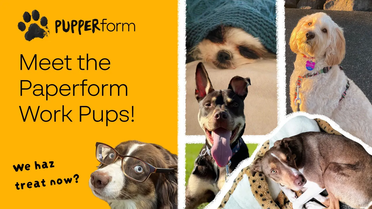 From Woof to Work: Meet the Puppers of Paperform