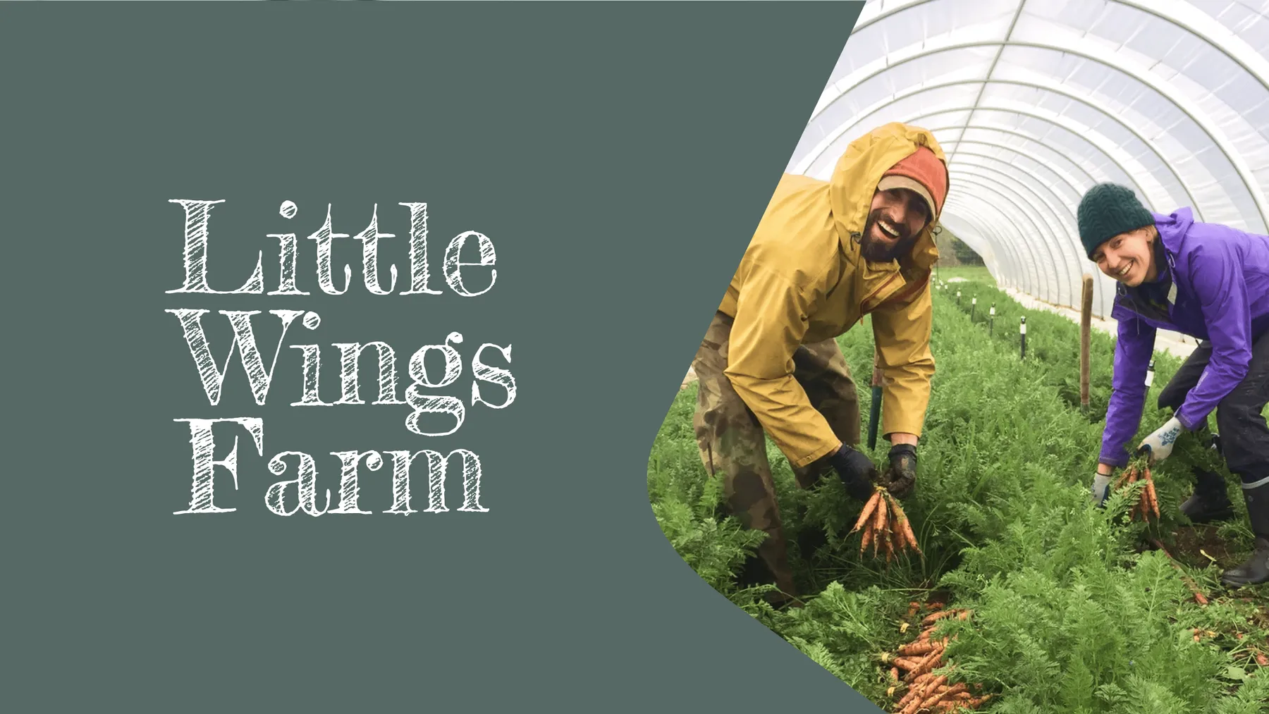 How Little Wings Farm made fresh food more accessible with Paperform