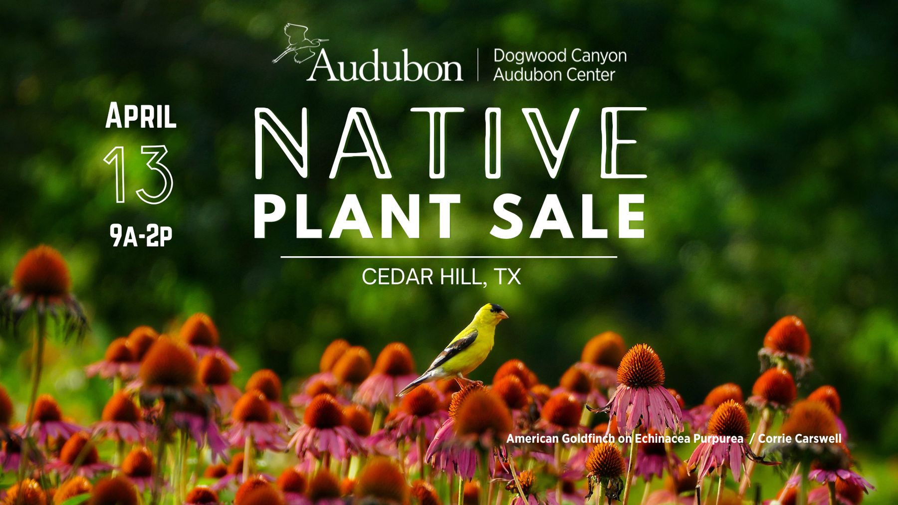 Spring 2024 Native Plant Sale (END OF SEASON SALE Open 5.7.24)